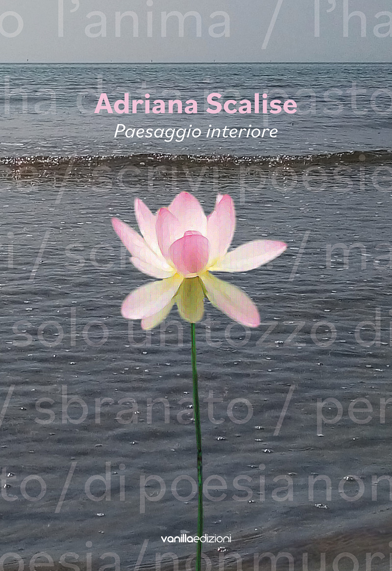 cover_scalise_web
